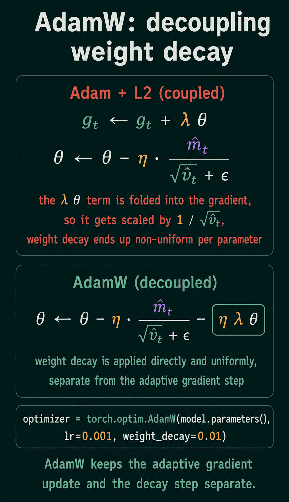 AdamW moves weight decay out of the adaptive step so every parameter decays by the same fraction.
