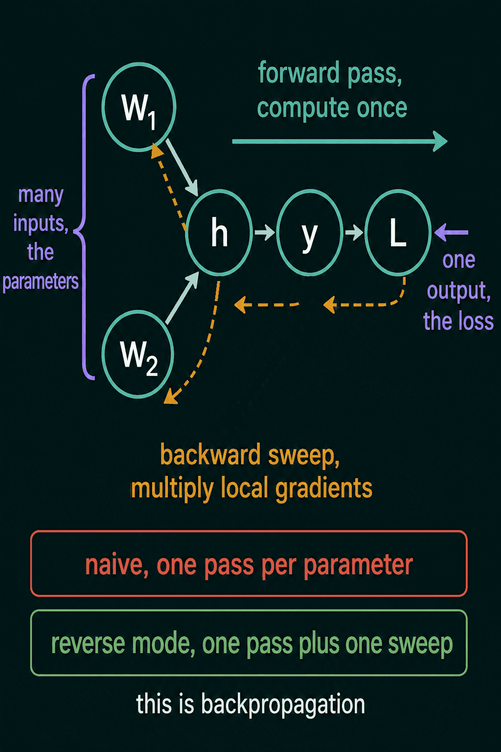 A small network with two weights W1 and W2 feeding a hidden value h, then an output y and a loss L: a forward pass arrow computes everything once from left to right, and dashed backward arrows run from L to y to h and back to both weights, multiplying local gradients, with the comparison that a naive approach needs one pass per parameter while reverse mode needs one pass plus one sweep, and the label this is backpropagation
