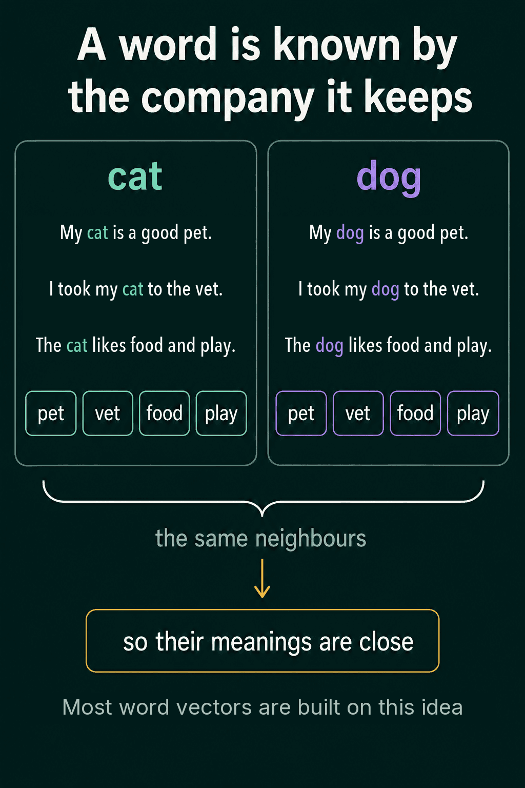 Three sentences each for cat and dog sharing the same neighbours pet, vet, food and play, so their meanings are close