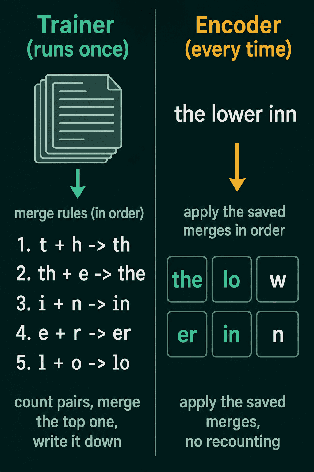 The trainer running once on a corpus to produce five ordered merge rules, t h to th, th e to the, i n to in, e r to er and l o to lo, and the encoder applying them in order to the lower inn to get the, lo, w, er, in and n