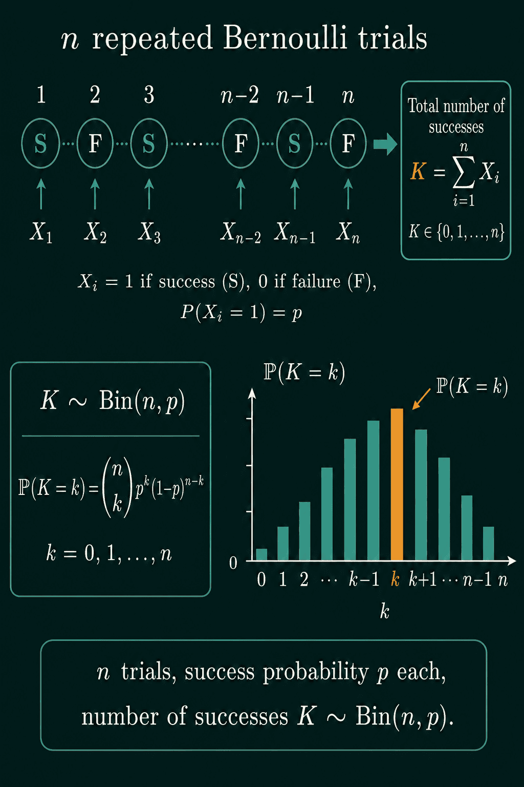n repeated Bernoulli trials, each marked S or F, added into a total number of successes K, with the binomial formula and a bar chart of P(K = k) over k from 0 to n.