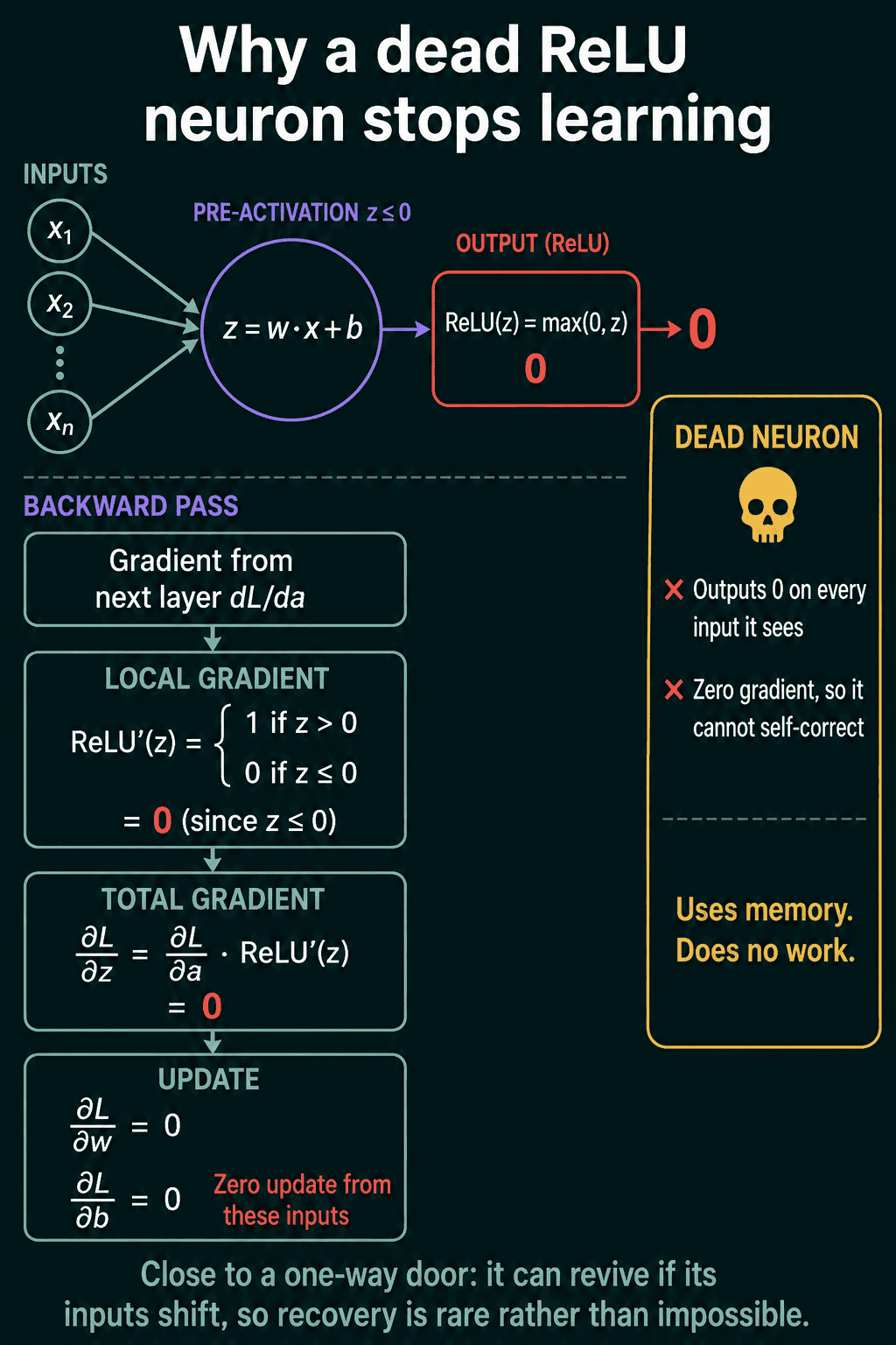 Why a dead ReLU neuron stops learning: the pre-activation z ≤ 0 gives a ReLU output of 0, the local gradient ReLU'(z) is 0, so the total gradient and the updates to w and b are 0. The neuron outputs 0 on every input and cannot self-correct.