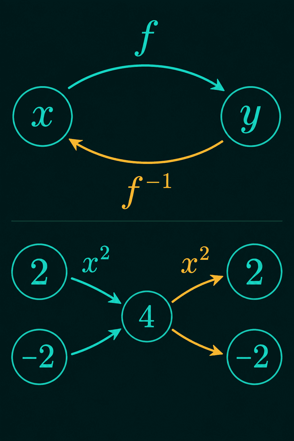 f taking x to y and the inverse taking y back to x, and below, 2 and minus 2 both squaring to 4, so 4 cannot be sent back to a single input