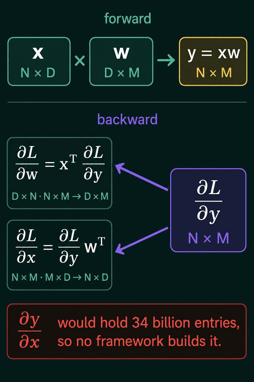 Forward pass: x of shape N by D times w of shape D by M gives y equal to xw of shape N by M. Backward pass: dL over dy of shape N by M feeds dL over dw equal to x transpose times dL over dy, D by N times N by M giving D by M, and dL over dx equal to dL over dy times w transpose, N by M times M by D giving N by D, with a red note that dy over dx would hold 34 billion entries
