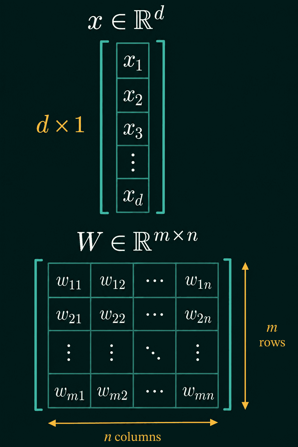 A d-dimensional vector drawn as a column of d entries, and an m by n matrix W with its m rows and n columns labeled