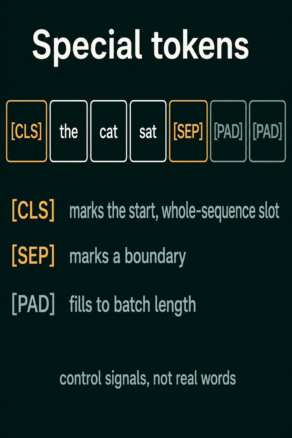 The sequence CLS the cat sat SEP PAD PAD, where CLS marks the start, SEP marks a boundary and PAD fills to the batch length