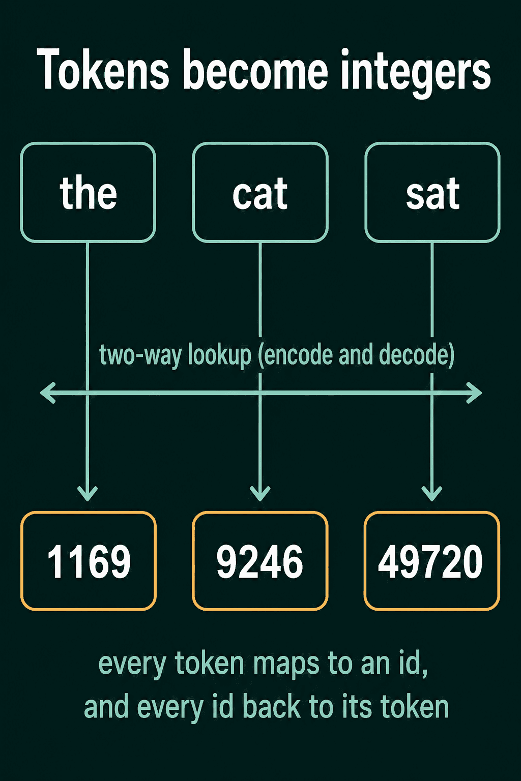 The tokens the, cat and sat mapped to the GPT-2 ids 1169, 9246 and 49720, with a two-way lookup between tokens and ids