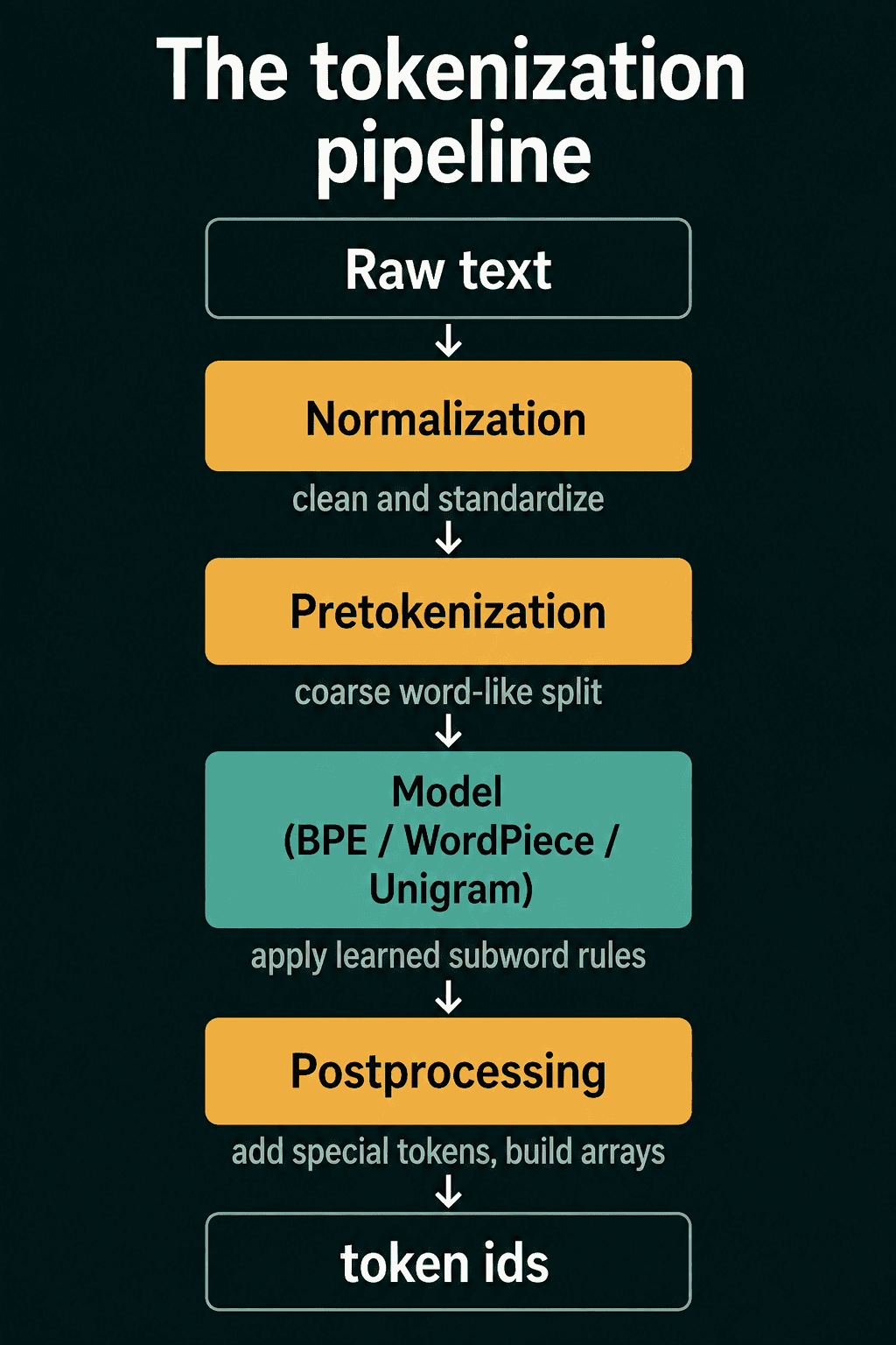 The tokenization pipeline from raw text through normalization, pretokenization, the BPE, WordPiece or Unigram model and postprocessing to token ids