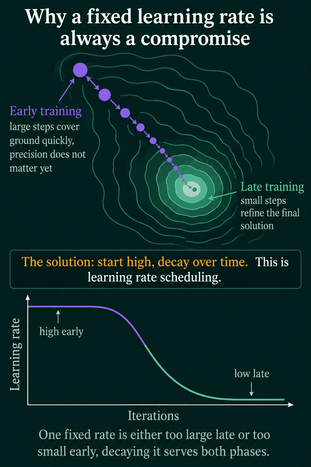 Top: gradient descent steps on a loss contour, large steps early covering ground and small steps late refining the solution near the minimum. Bottom: a learning rate that starts high and decays low over iterations.