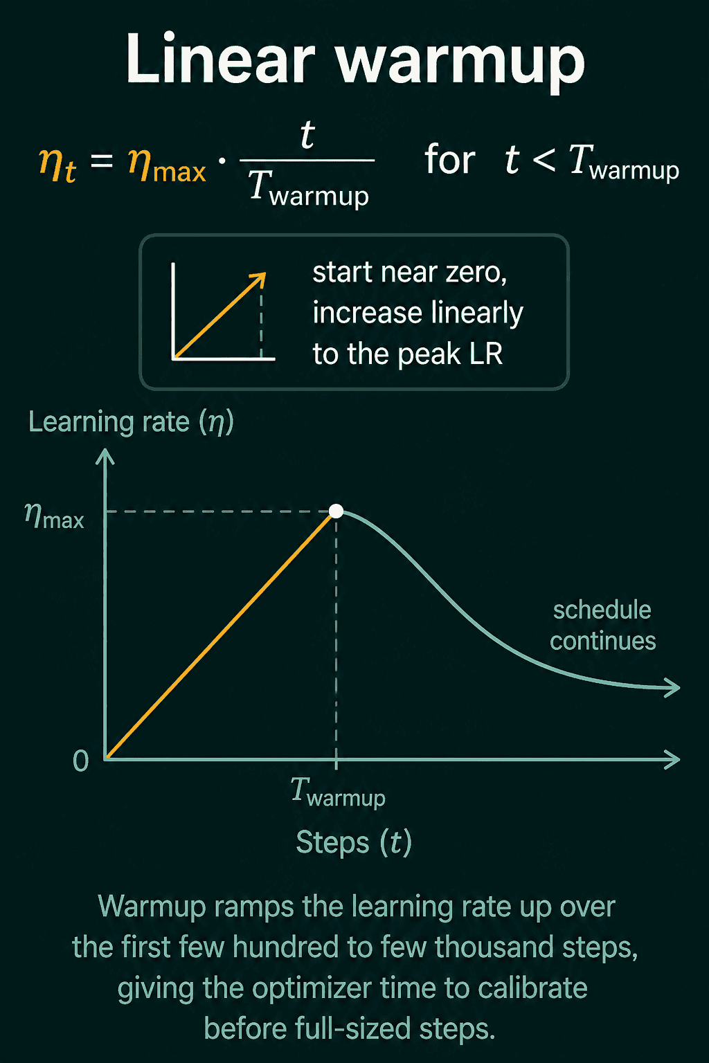 Linear warmup: the learning rate rises in a straight line from 0 to the peak at T_warmup, then the rest of the schedule continues downward.