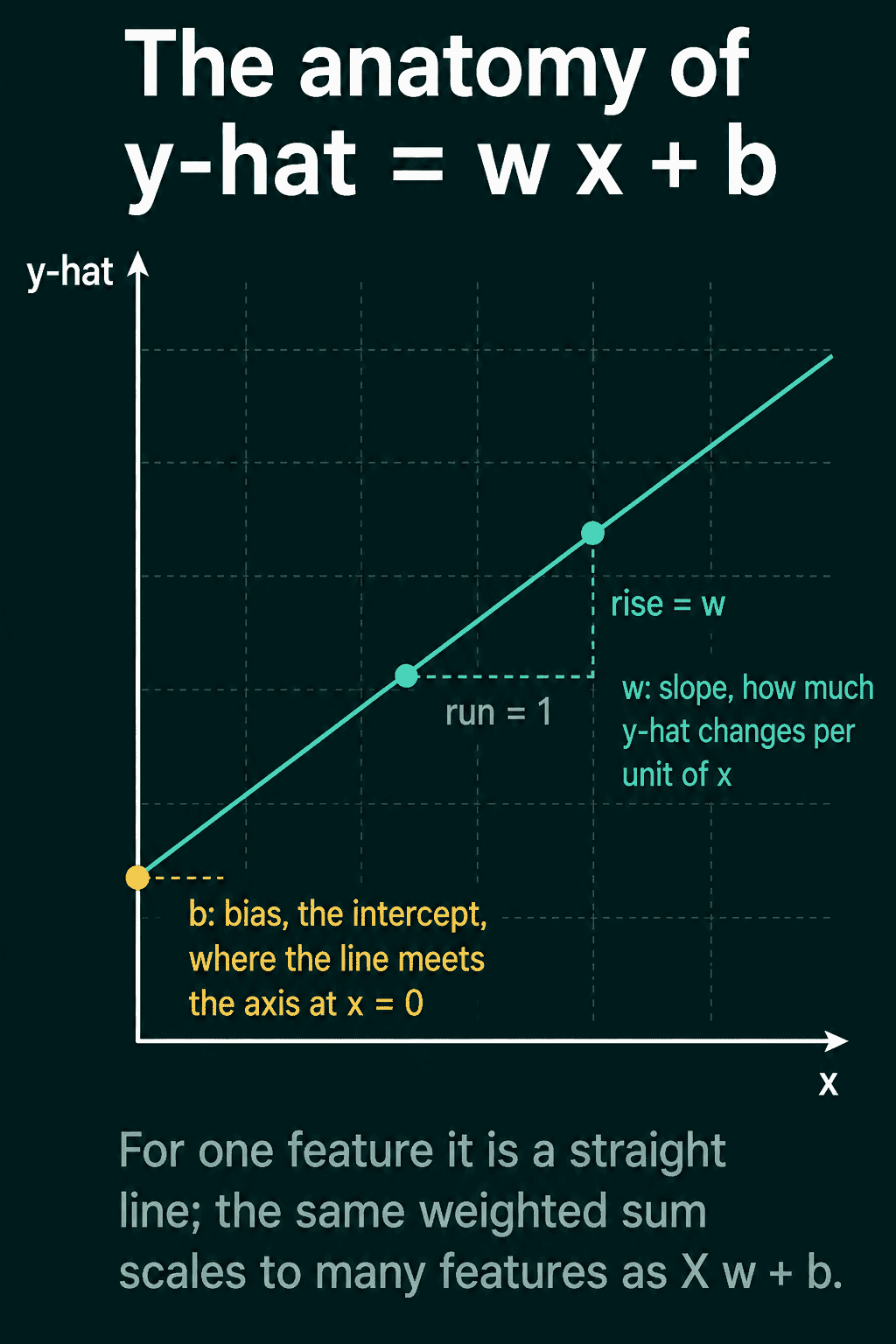 The line y-hat equals w x plus b, with the slope w shown as the rise over a run of 1 and the bias b as the point where the line meets the vertical axis at x equals 0.