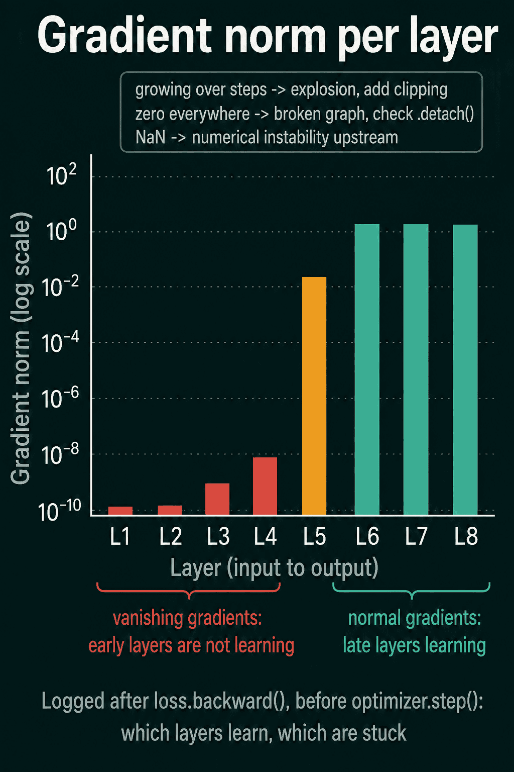 Gradient norm per layer on a log scale, with layers L1 to L4 near 1e-10 to 1e-8 marked as vanishing gradients, L5 around 1e-2, and L6 to L8 near 1 marked as normal, plus notes that growing norms mean explosion, zero everywhere means a broken graph, and NaN means numerical instability upstream