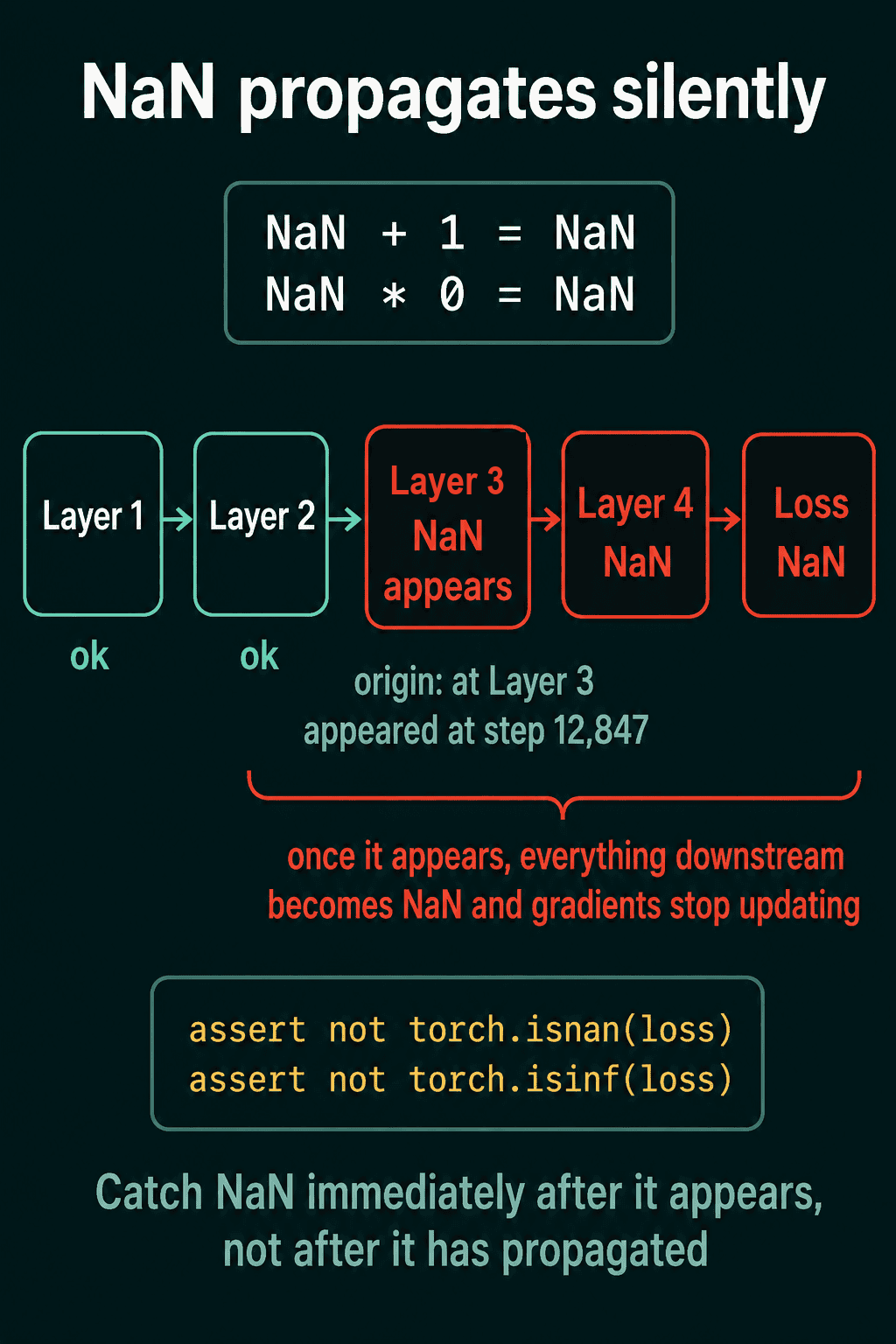 A chain of Layer 1 and Layer 2 marked ok, then Layer 3 where NaN appears, followed by Layer 4 and the loss both NaN, with the rules NaN + 1 = NaN and NaN * 0 = NaN above and the isnan and isinf asserts below