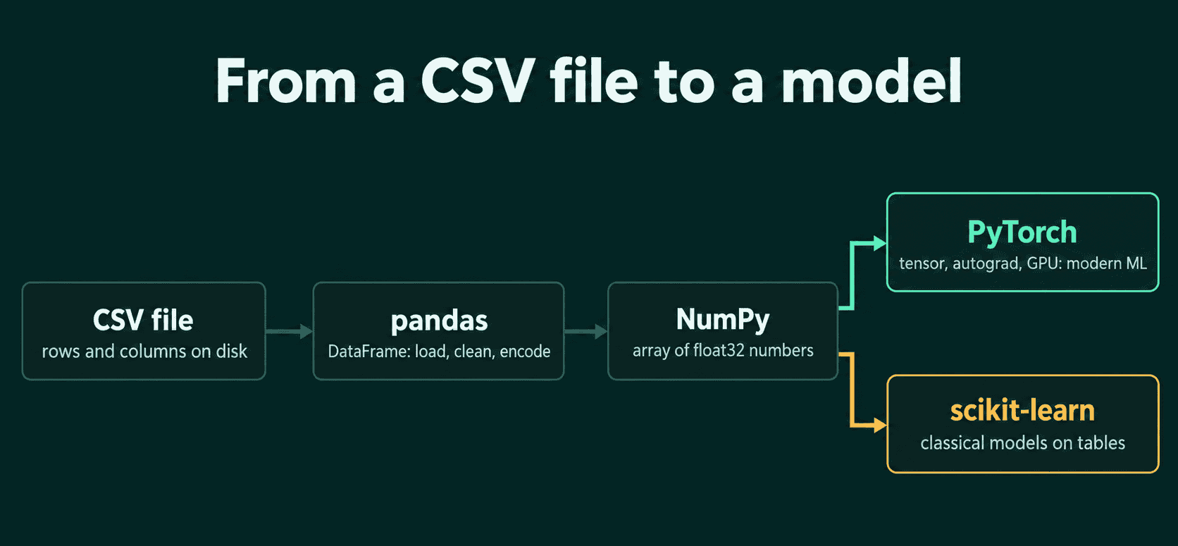 The path from a CSV file to a model: pandas loads the table, NumPy holds the numbers, then either scikit-learn trains a classical model or PyTorch turns the array into a tensor for a neural network.