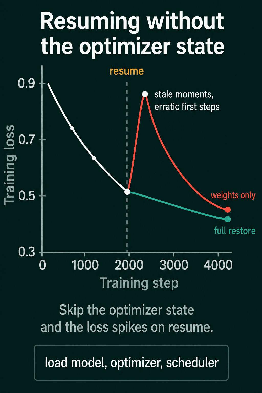 A sketch of training loss against training step, titled "Resuming without the optimizer state". The loss falls from 0.9 to 0.5 by step 2000, where a dashed line marks the resume. A red curve labeled "weights only" jumps up before coming back down, and a teal curve labeled "full restore" keeps falling smoothly. A box at the bottom says load model, optimizer, scheduler.