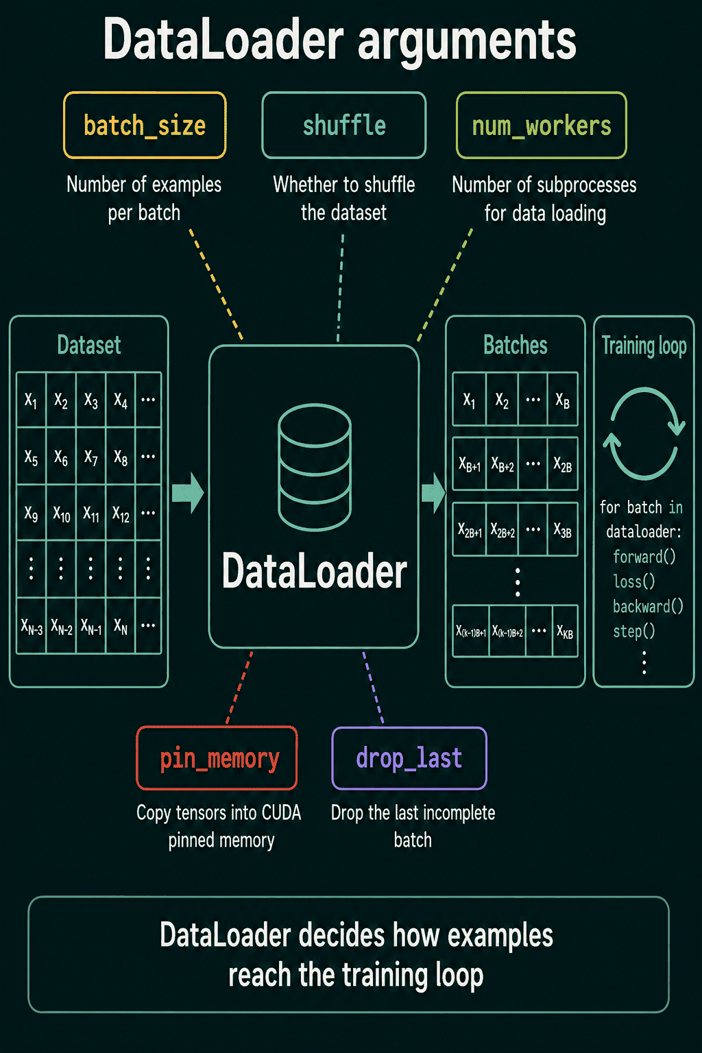 A grid of examples x1 to xN flows into a DataLoader, which outputs batches of B examples to the training loop. Labels around it describe batch_size, shuffle, num_workers, pin_memory and drop_last.