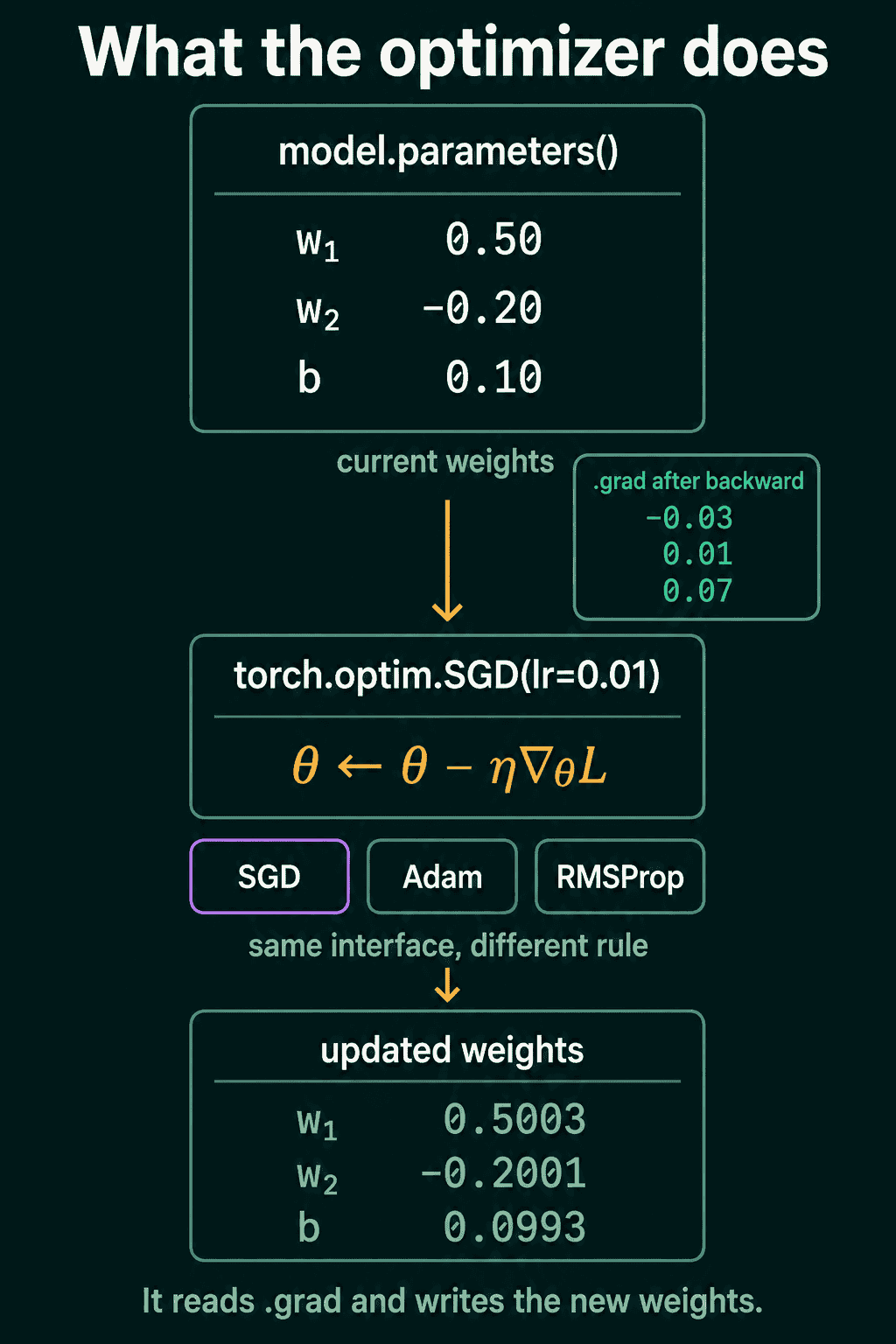 The current weights w1 = 0.50, w2 = -0.20 and b = 0.10, with gradients -0.03, 0.01 and 0.07, pass through torch.optim.SGD with lr = 0.01 and come out as 0.5003, -0.2001 and 0.0993. SGD, Adam and RMSProp are shown as the same interface with different rules.