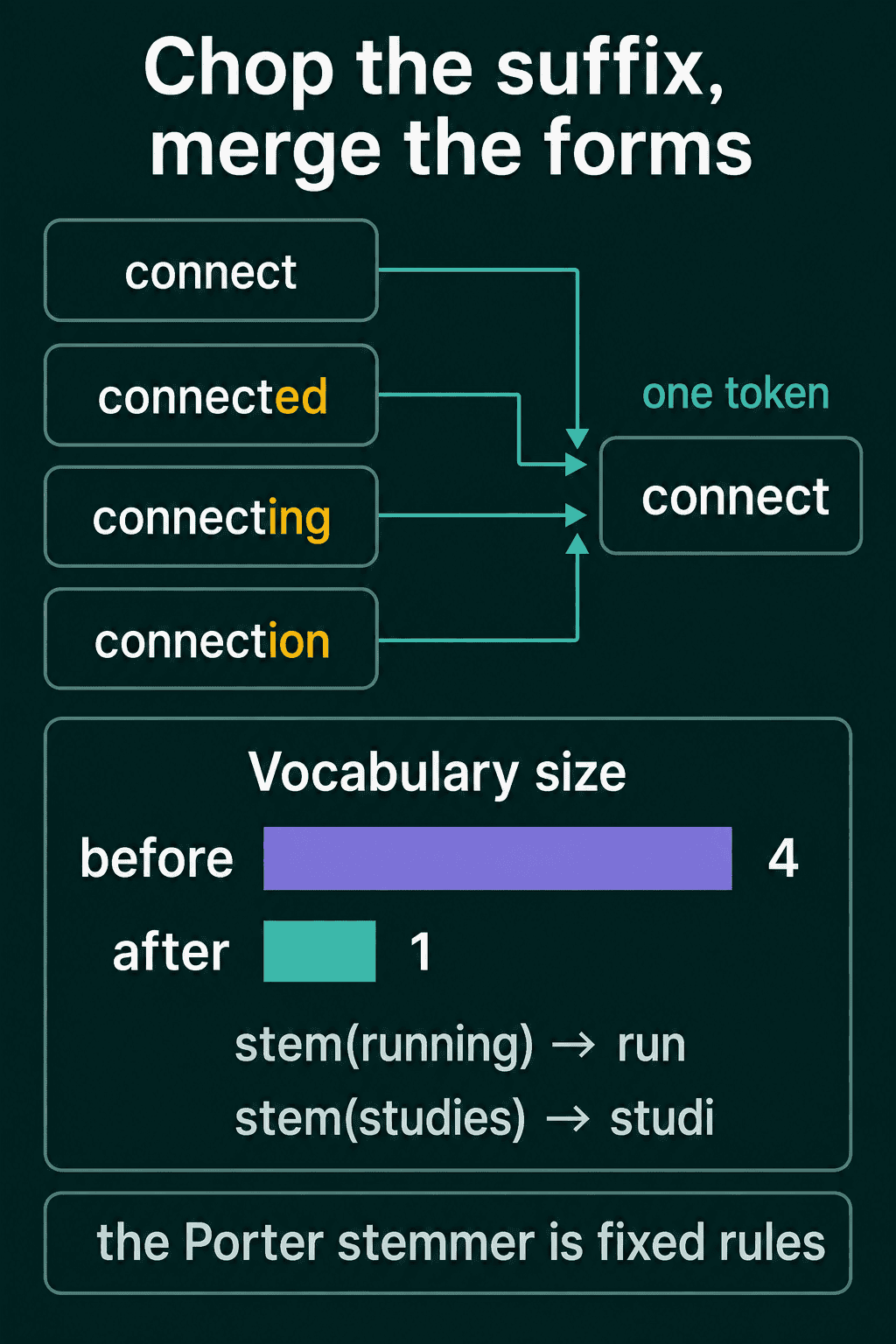 connect, connected, connecting and connection all merge into one token connect, shrinking the vocabulary from 4 to 1, with the Porter stems of running and studies below