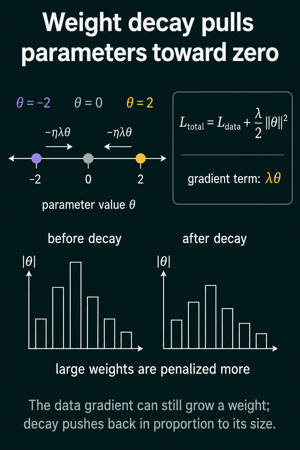 A weight at 2 and a weight at -2 both get pulled toward 0 by a step of size eta times lambda times theta, and a histogram of weight sizes gets shorter after decay