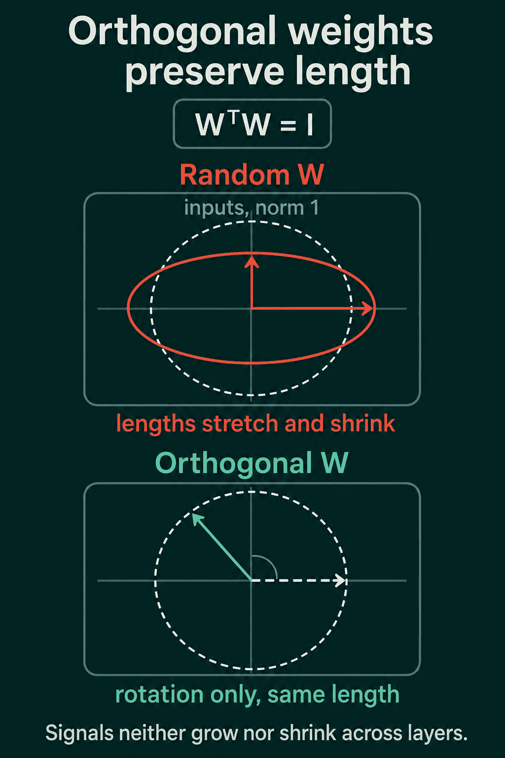 Orthogonal weights preserve length: a random W stretches the unit circle into an ellipse, while an orthogonal W with W transpose W = I only rotates a vector, keeping its length.