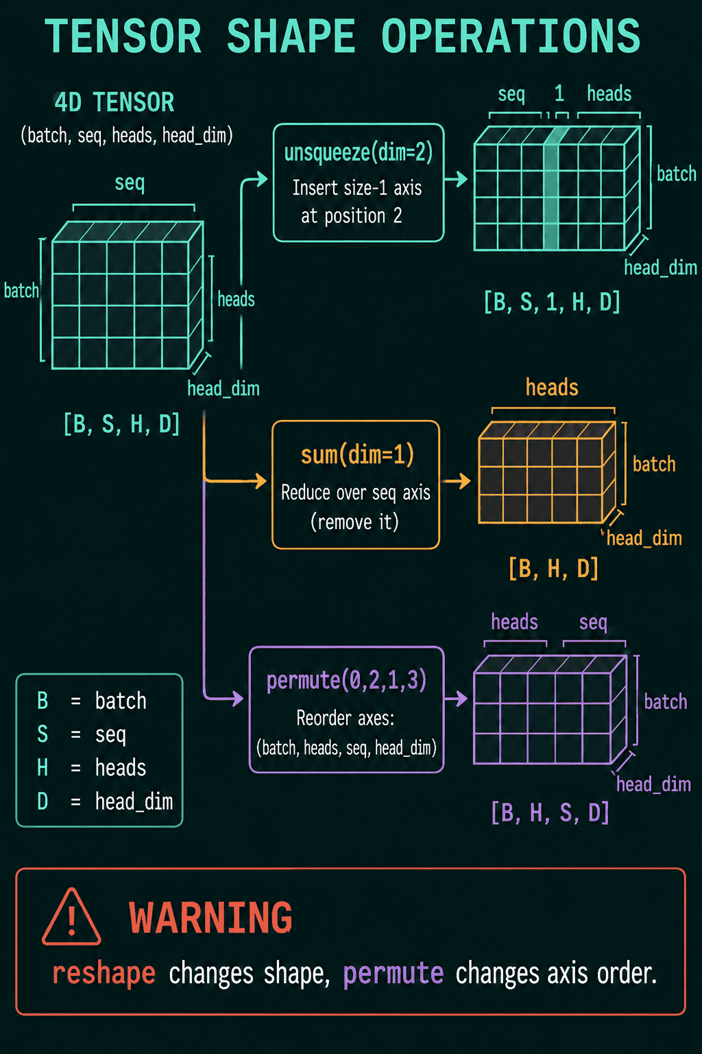 Tensor shape operations on a 4D tensor [B, S, H, D] for batch, seq, heads and head_dim: unsqueeze(dim=2) inserts a size-1 axis giving [B, S, 1, H, D], sum(dim=1) removes the seq axis giving [B, H, D], and permute(0, 2, 1, 3) reorders the axes giving [B, H, S, D]. A warning reads: reshape changes shape, permute changes axis order
