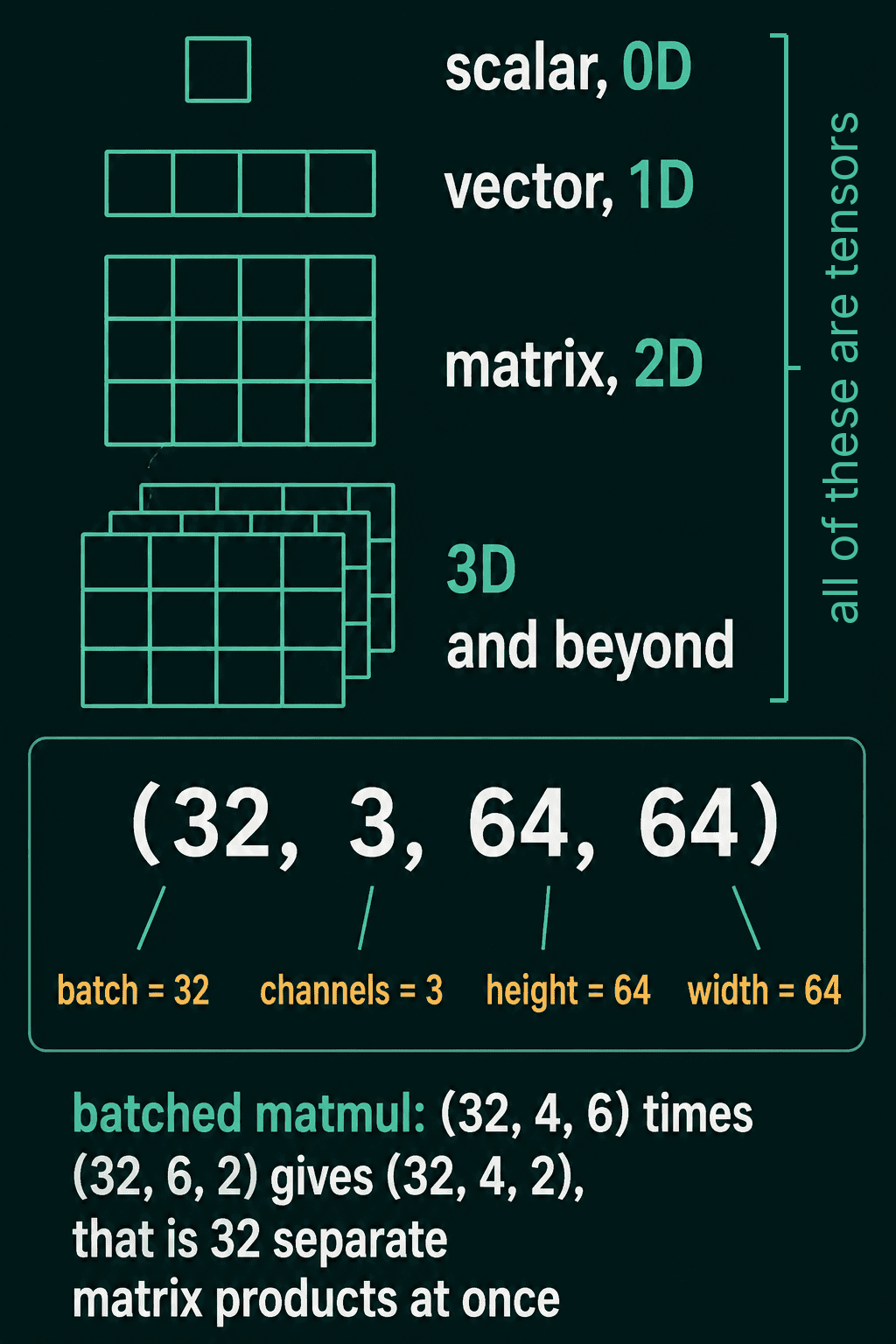 Scalar (0D) as one box, vector (1D) as a row of boxes, matrix (2D) as a grid, and 3D and beyond as stacked grids, with a bracket marking all four as tensors. Below, the shape (32, 3, 64, 64) labelled batch = 32, channels = 3, height = 64, width = 64, and a note that a batched matmul of (32, 4, 6) times (32, 6, 2) gives (32, 4, 2), 32 separate matrix products at once