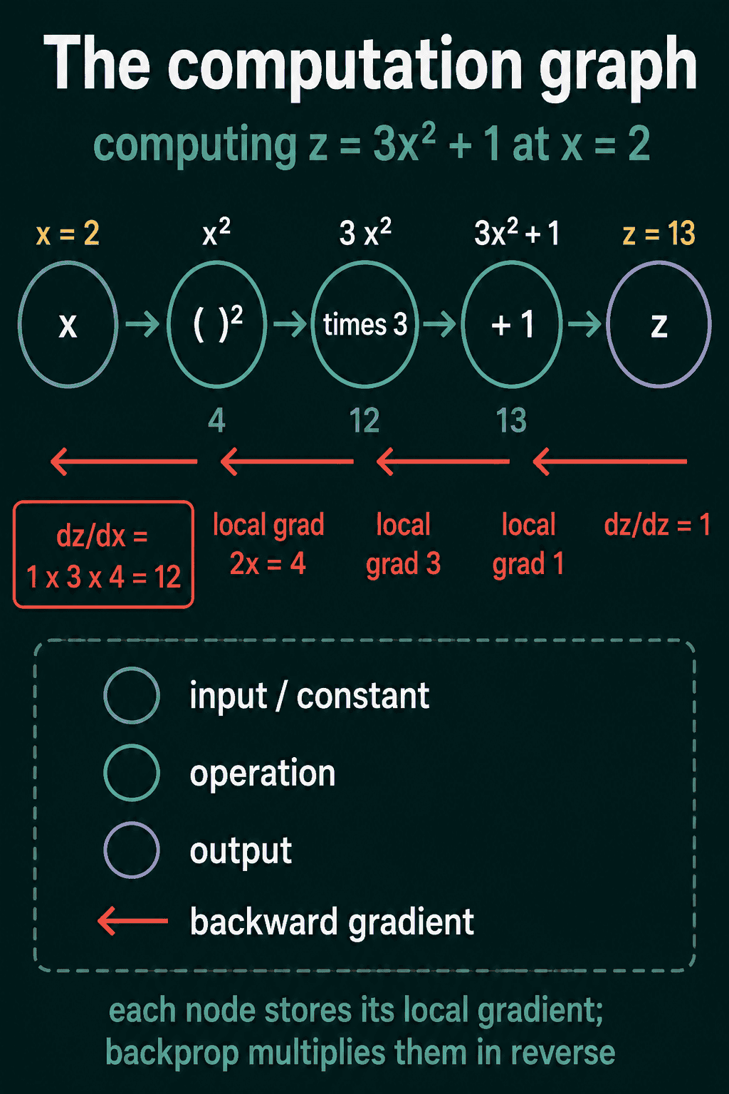 A chain of operations computing z = 3x squared + 1 at x = 2: square, times 3, plus 1, giving 13. Red arrows run backward from z to x, multiplying the local gradients 1, 3, and 4 to give dz/dx = 12.