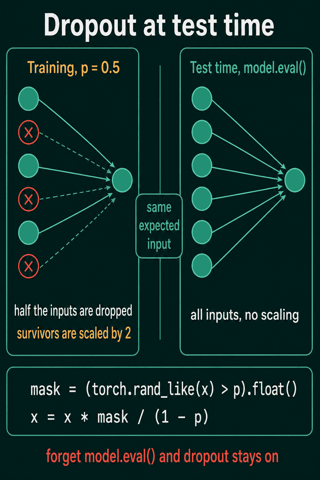 During training with p = 0.5, half the inputs are dropped and survivors are scaled by 2, and at test time with model.eval() all inputs are used with no scaling