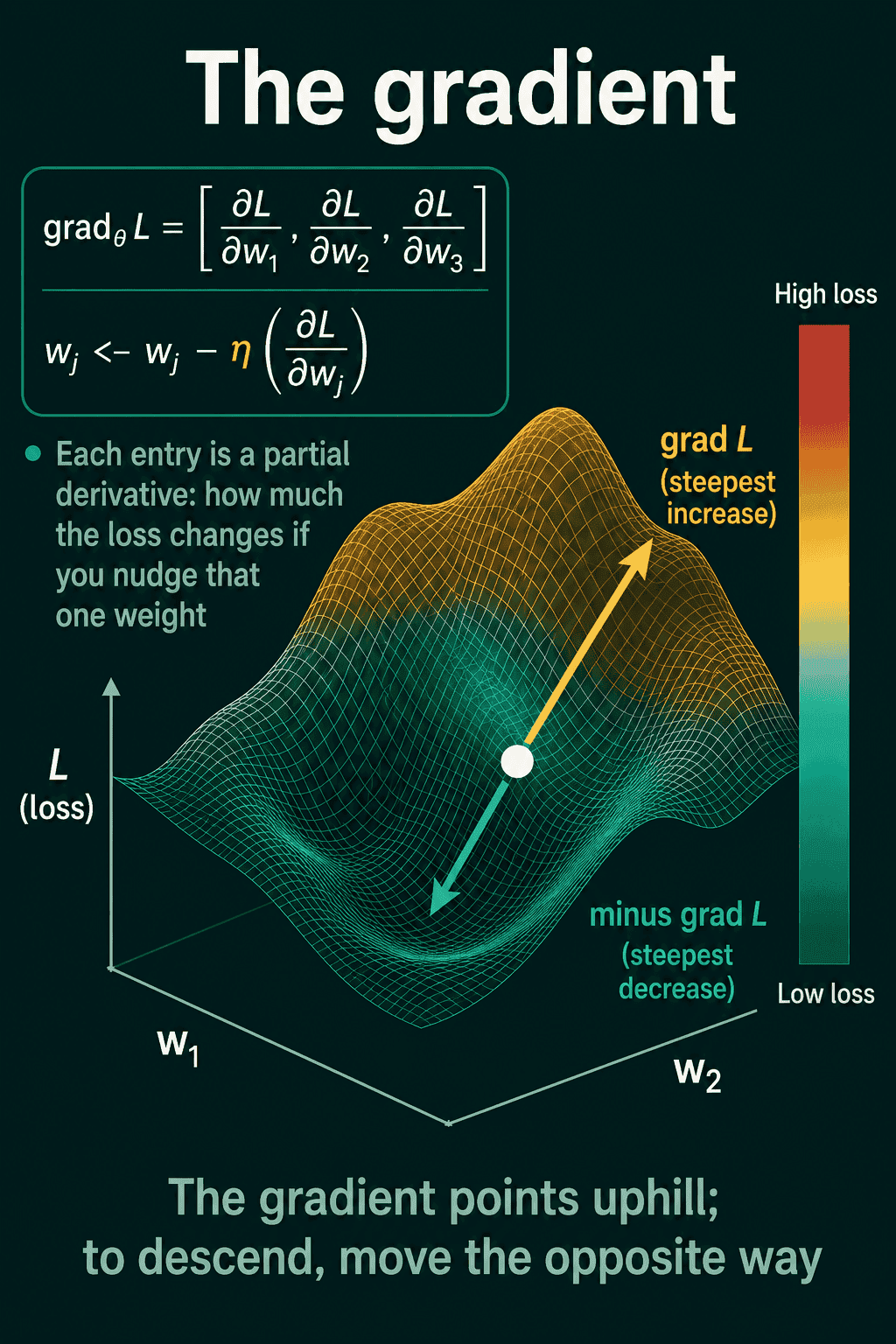 The gradient as a vector of partial derivatives, the update rule for one weight, and a 3D loss surface with an arrow pointing uphill along the gradient and another pointing downhill along its negative