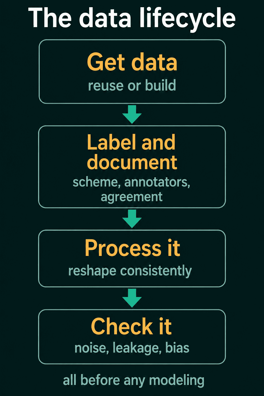 The data lifecycle as four steps: get data, label and document, process it, check it for noise, leakage and bias, all before any modeling