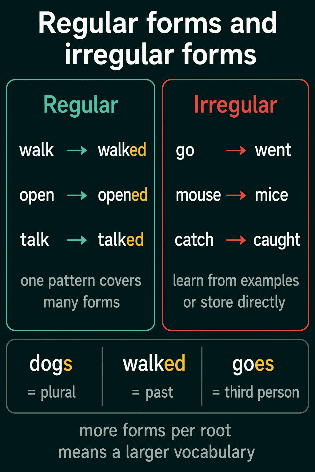 Regular forms such as walk to walked, next to irregular forms such as go to went and mouse to mice, plus endings that mark plural, past and third person