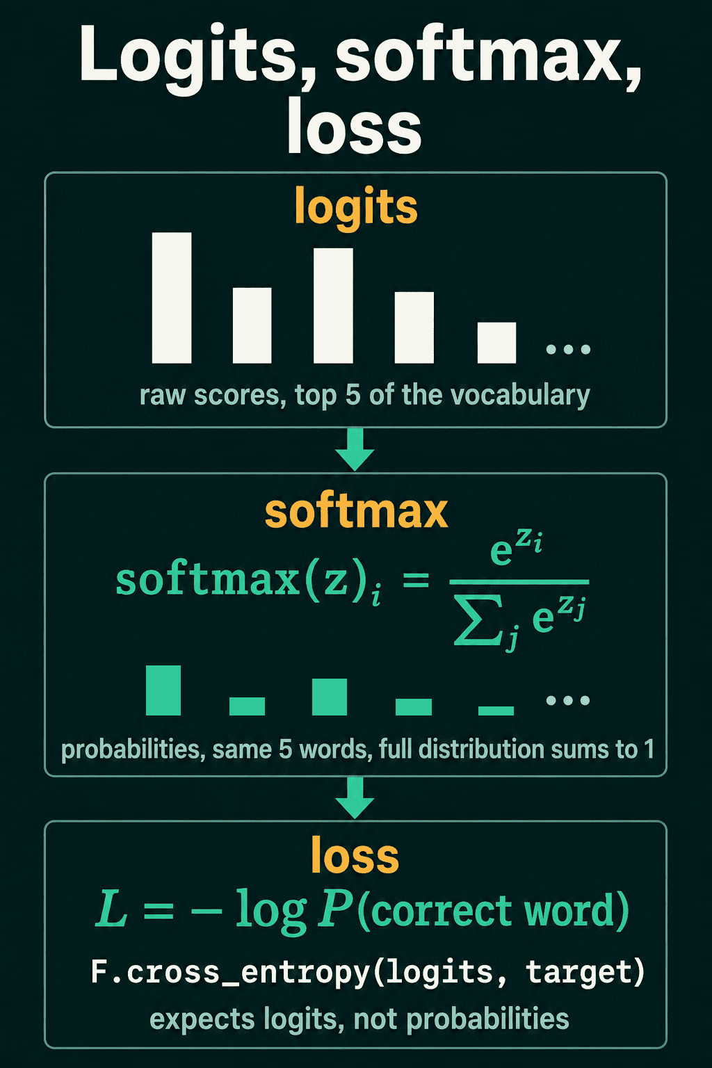 Bars of raw logits, the softmax formula with the resulting probabilities, and the loss written as minus log P of the correct word.